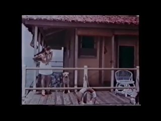 the avenger (india, 1976) action, rishi kapoor, dubbing, soviet rolling copy